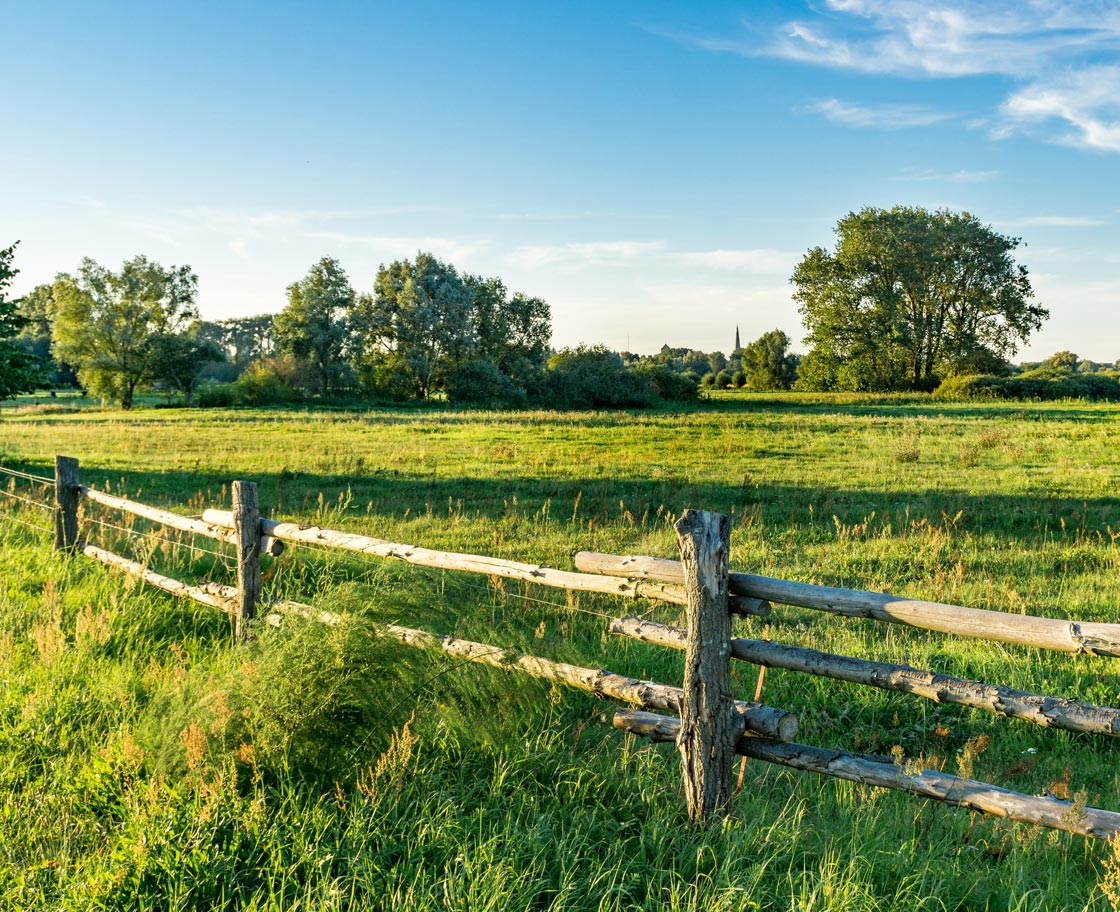 Search Vacant Land